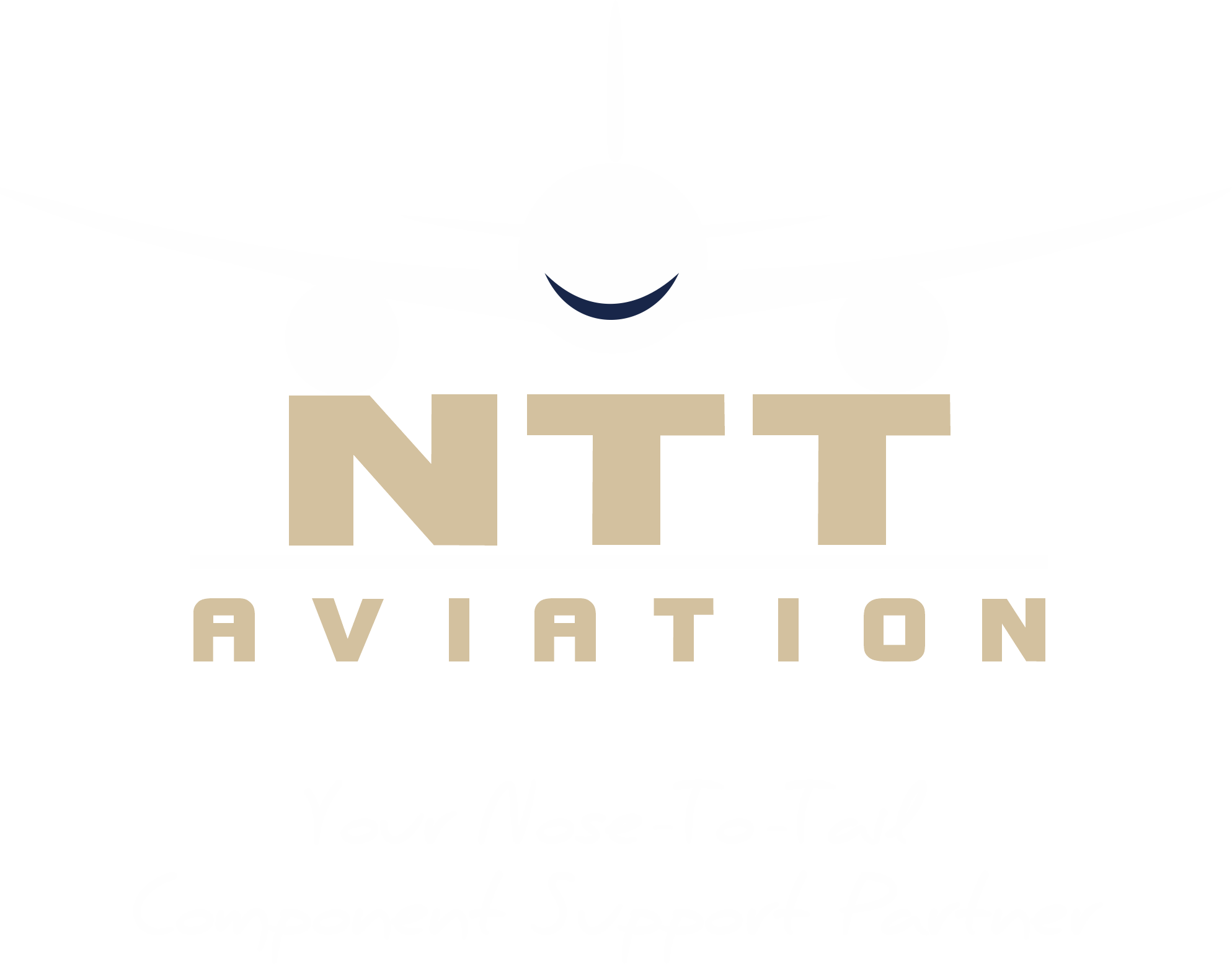 NTT Aviation